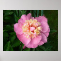 painted peony print