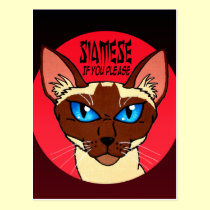 Painted Siamese Cartoon postcards