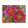 Painted tongue close-ups of their blooms -
