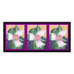 Painted Trillium Bookmark Custom Rack Cards