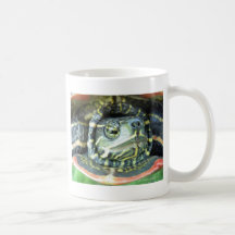 Painted Turtle (Chrysemys picta) 2 Mugs