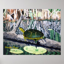 Painted Turtle Print