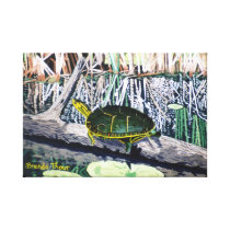 Painted Turtle Wrapped Canvas Print