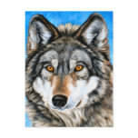 Painted Wolf