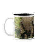 Pair of African Elephants feeding, Masai Mara, Coffee Mugs