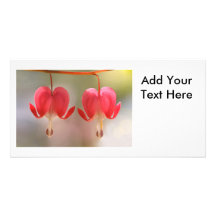 Pair of Bleeding Hearts Flowers Picture Card