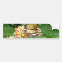 Pair of Butterflies Bumper Stickers