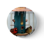 Pair of Cardinals at Icy BirdFeeder