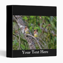 Pair of Cedar Waxwings Vinyl Binder