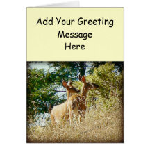 Pair of Does Greeting Cards