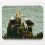 Pair of Eagles Mouse Pads