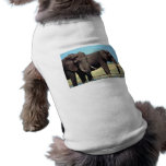 Pair of Elephants Dog T Shirt