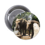 Pair of Elephants Pin