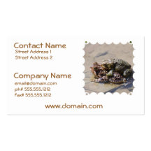 Pair of Frogs Business Cards