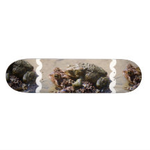 Pair of Frogs Skateboard
