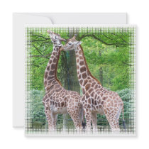 Pair of Giraffes Invitation