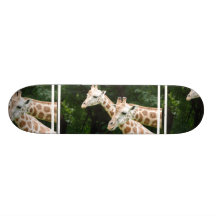 Pair of Giraffes Skateboard