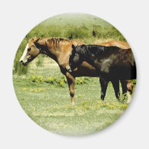 Pair of Horses Refrigerator Magnet