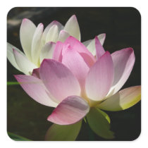 Pair of Lotus Flowers Sticker