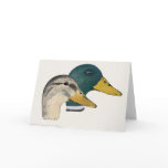 Pair of Mallard Ducks, Drake and Hen, Watercolor cards