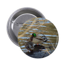Pair of Mallard Ducks on Shore's Edge Pin