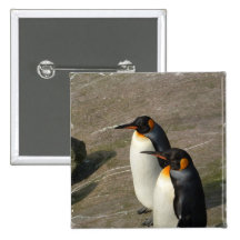 Pair of Penguins Square Pin