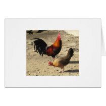 Pair Of Round Head Gamebirds Greeting Cards