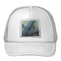 Pair of Sharks Baseball Hat