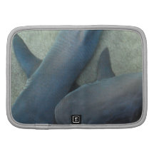 Pair of Sharks Wallet Organizer