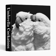 Pair of umbrella cockatoos binders