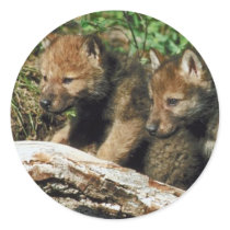 Pair of Wolf Cubs Sticker