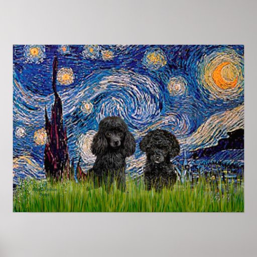 Paires de caniche (noir) - nuit étoilée posters