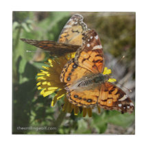 Paires de papillon carreaux en céramique