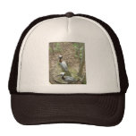 Paires de pélican - chapeau casquettes