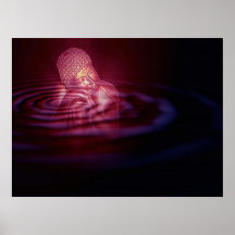 Paix en dedans posters