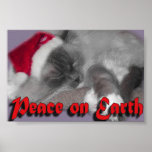 Paix sur terre posters