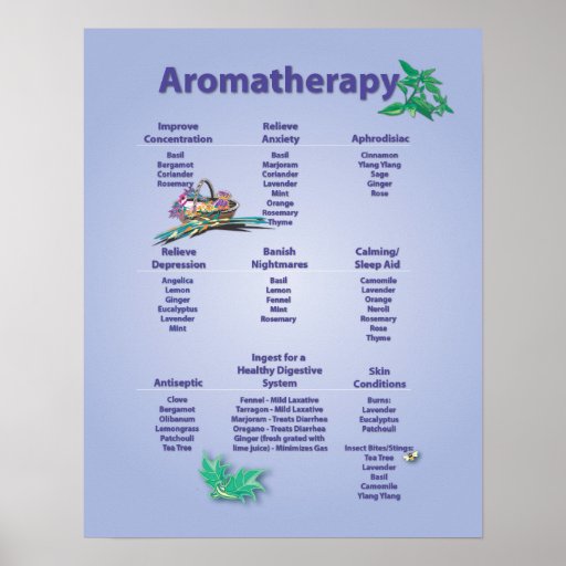 Pale Blue Aromatherapy Chart Poster