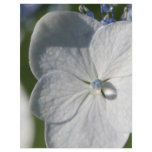 Pale blue flower with rain drop