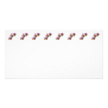 Pale Magenta and White Orchids Photo Greeting Card