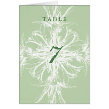 Pale Mint Vintage Floral Table Cards