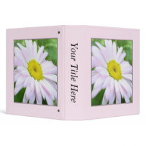 Pale Pink Painted Daisy