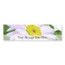 Pale Pink Painted Daisy