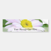 Pale Pink Painted Daisy Bumper Stickers