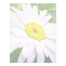 Pale Pink Painted Daisy Custom Letterhead