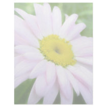 Pale Pink Painted Daisy