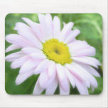 Pale Pink Painted Daisy Mousepad