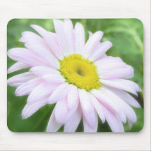 Pale Pink Painted Daisy Mousepad