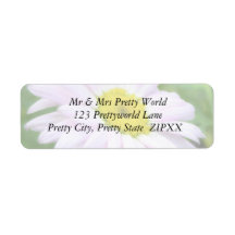 Pale Pink Painted Daisy Return Address Label