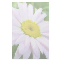 Pale Pink Painted Daisy