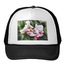 Pale Pink Phalaenopsis Orchids Hats
